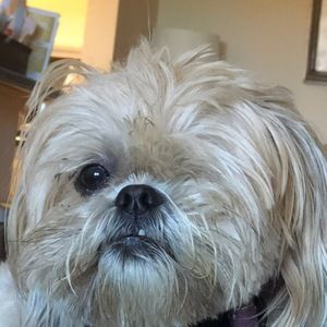 Meet your Posher, Skyler